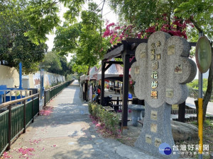 桐花步道。林重鎣翻攝