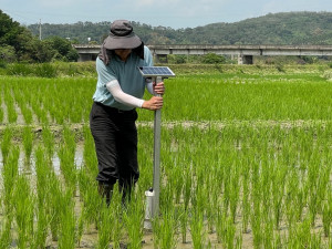 太陽能水位計監測水位。林重鎣攝