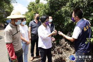 縣長王惠美由縣議員張瀚天、芬園鄉農會總幹事黃翊愷陪同，至芬園鄉了解目前乾旱嚴重情況。圖/彰化縣政府提供