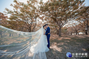 防疫期間，「登記結婚」是不錯選項！ 但美美的婚紗照也不可少！  