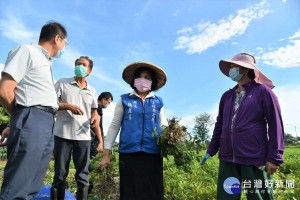 雲縣農損近千萬元　張麗善爭取從優救助