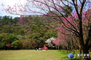 奧萬大森林遊樂區將微解封。（南投林管處提供）