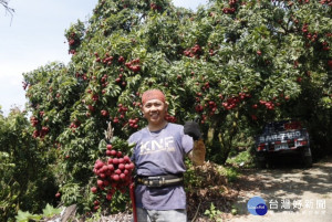 廖秉弦的糯米荔枝。林重鎣攝