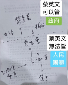 （圖／翻攝林靜儀臉書）