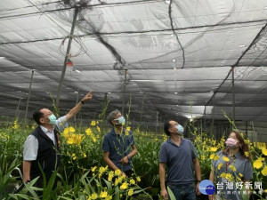 
龜速的煙花颱風，帶來了不少雨量，后里區長賴同一未雨綢繆，率農業、人文課長視察花果受雨打後的狀況。（記者陳榮昌攝）
