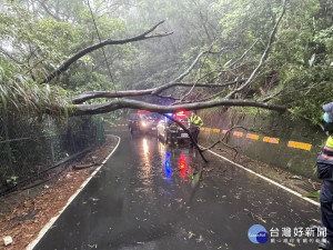 災害應變中心統計烟花颱風影響期間共受理99件災情，以路樹傾倒、積水為主，並無造成重大災情