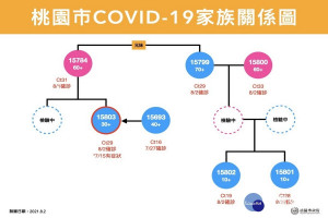 桃園特殊交友圈引發家庭群聚感染事件關係圖。