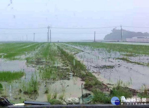 受西南氣流豪雨影響，雲林縣陸續傳出農損，2日止災損已達872萬元，但仍有雞舍淹水和漫流地區，預估大水退後災情會更明顯。