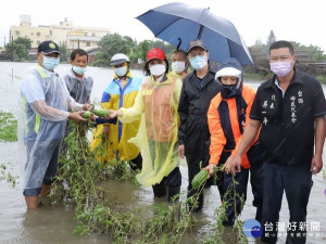 縣長張麗善特會同農改場人員、農業處長吳芳銘前往大埤、四湖、臺西等地現場勘查西瓜、蔥、香瓜及蘿蔔農損情況。