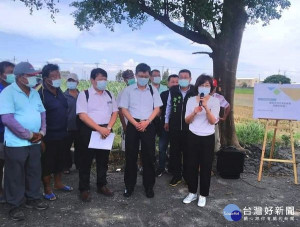 立委蘇治芬向農委會爭取，盼能因地制宜，考慮雲林的蒜頭特殊期作，維持蒜農的天災救助以及二期轉作獎勵。