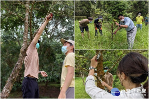 造林工作增能訓練，厚植森林永續經營基礎功。（圖∕羅東林管處）