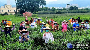 水保局在竹山延正社區陪長輩暢遊茶鄉。（水保局提供）