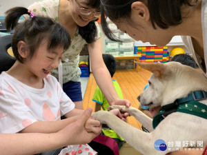 全台首創心輔犬療育課程啟動募資，給特殊兒更溫柔的教育新選擇