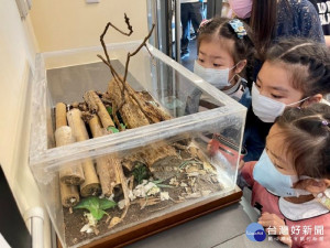 桃市圖大竹分館化身科普基地，9-12月昆蟲仿生特展，尋寶及戶外體驗