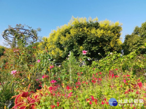 （圖／台北市公園處提供）