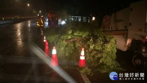 圓規颱風外圍環流豪雨造成路樹倒塌，龍潭警冒雨拉樹交管

