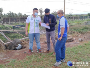 
「圓規」颱風發威，外圍環流狹帶強風吹倒大安南埔壘球場內野本壘板後方防護網，施志昌昨日辦會勘，中市運動局允諾十一月修復。（記者陳榮昌攝）
