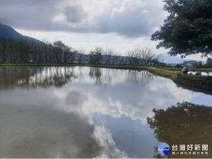 樂天社區田心子美麗的水田波光搭配落日夕陽，成為水空一色的迷濛幻境。（圖／記者王丰禾攝）