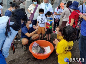 桃園市政府與臺灣海洋大學團隊合作在基隆潮境公園海域成功野放小欖蠵龜

