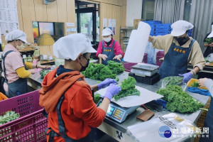 第二屆全國金牌農村揭曉，桃園市內柵社區與大北坑社區分獲銀銅雙獎。