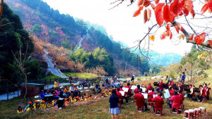 公老坪社區致力推動四季產業旅遊辦柑橘野餐季-採果體驗等活動