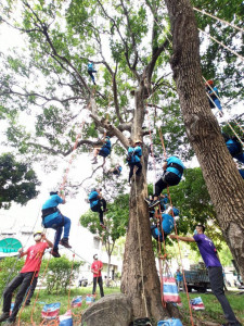 雲林少年隊辦攀樹體驗，鼓勵青少年從事健康休閒活動/李光揚翻攝