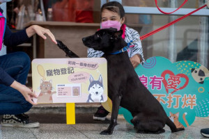 動保園區是照顧、收容、轉介認養動物的中心，環境友善非常重要