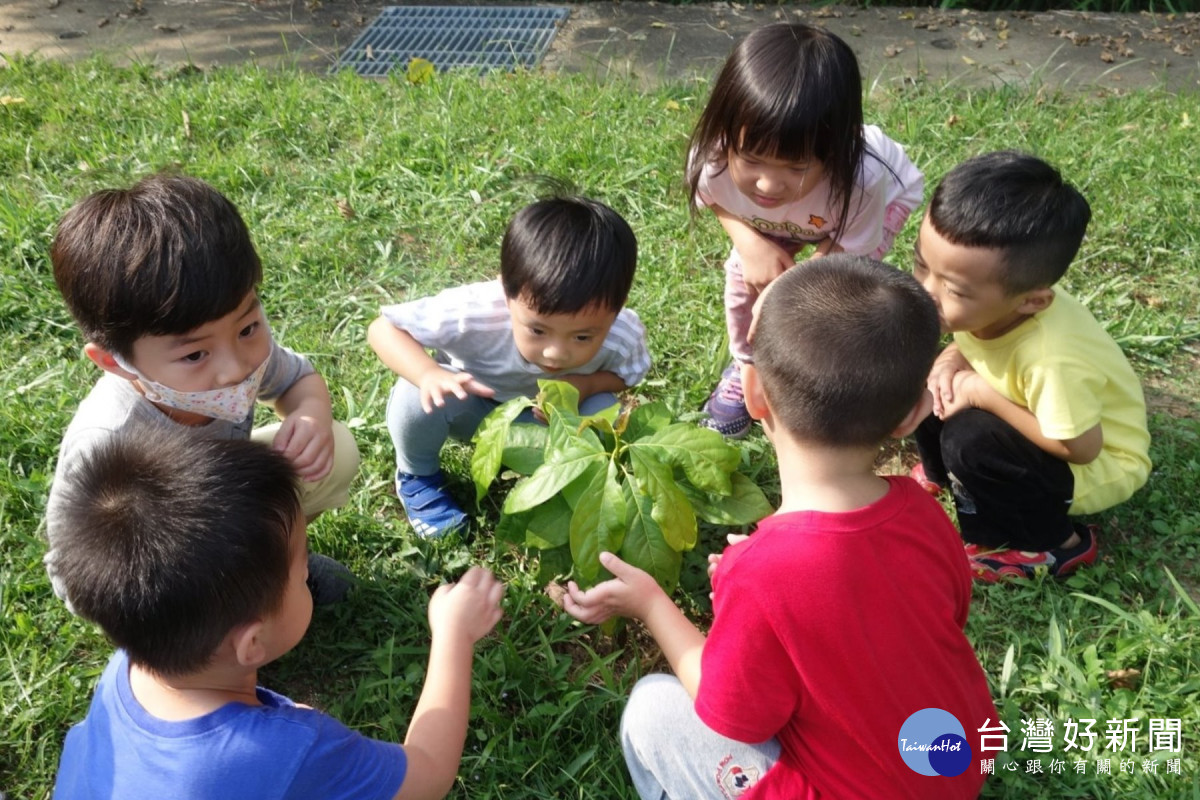 教育部教學卓越獎　南市3所幼兒園及3所國小入圍 台灣好新聞 第2張