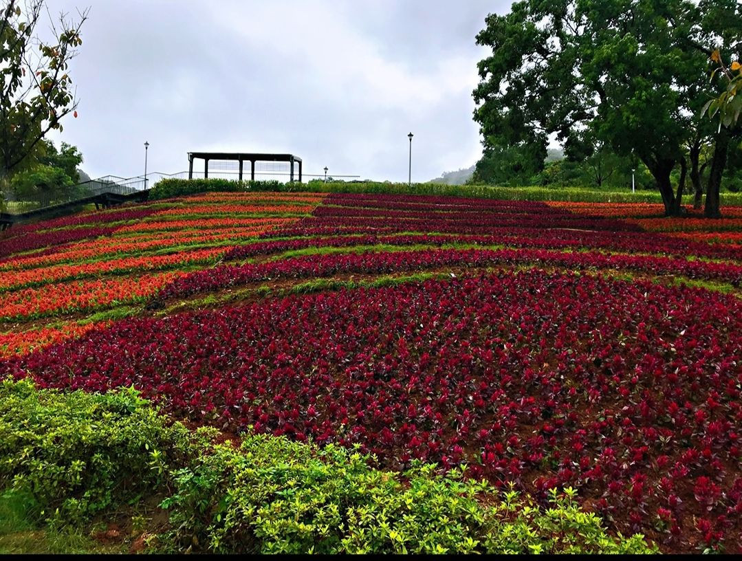 （圖／台北市公園處提供）