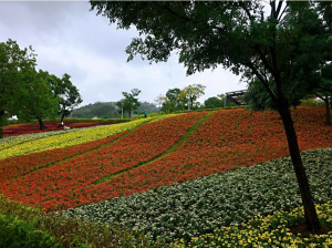 （圖／台北市公園處提供）