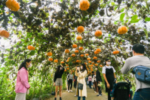 主會場以在地素材營造南瓜隧道