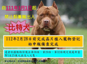 比特犬明年3月起禁養，現有飼主須申請備查/李光揚翻攝