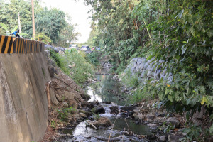 雲林溪上游區段邊坡僅用土堤及砌石護岸，年久未重整又因豪雨洪水沖刷，造成路基損壞及農地土壤流失/李光揚翻攝