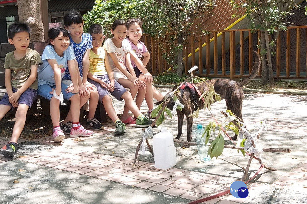 鼓勵學校認養流浪動物，桃園市政府動保處舉辦校園犬觀摩交流。