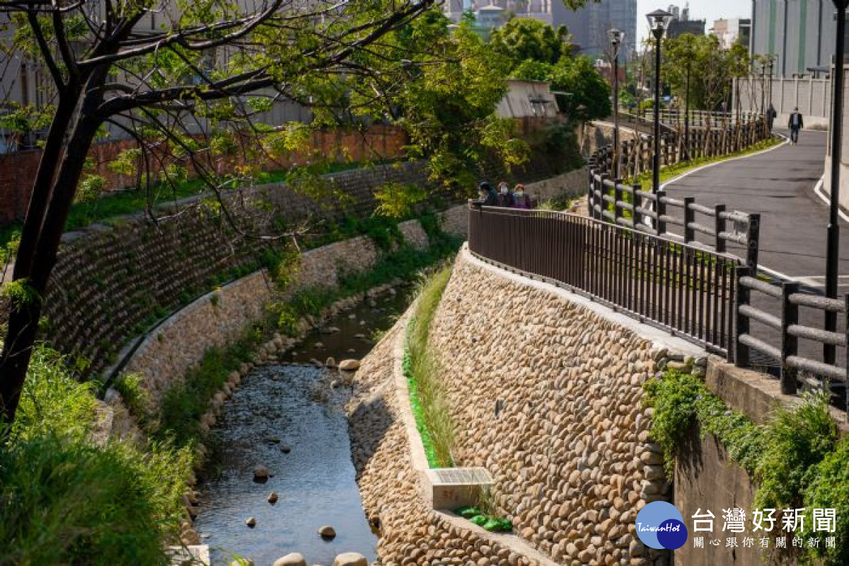 桃園「水汴頭綠水巷」生態工法　重塑人與環境共生的生命力 台灣好新聞 第4張