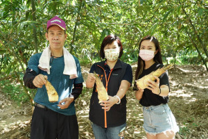 潭子農會總幹事林淑茵