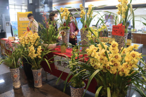 南投縣年終有系列花卉嘉年華沿續至明年。（記者扶小萍攝）