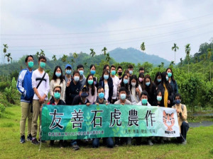 朝陽協助農民不用農藥友善石虎。林重鎣翻