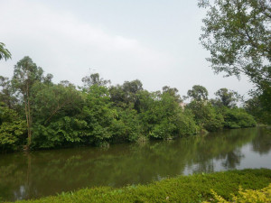 推動公園生態化　北市擬定每年3座公園進程