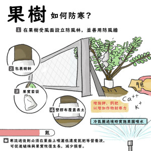 強烈冷氣團來襲，農業處提醒農民注意防寒／嘉義縣府提供