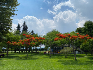 海風里公園