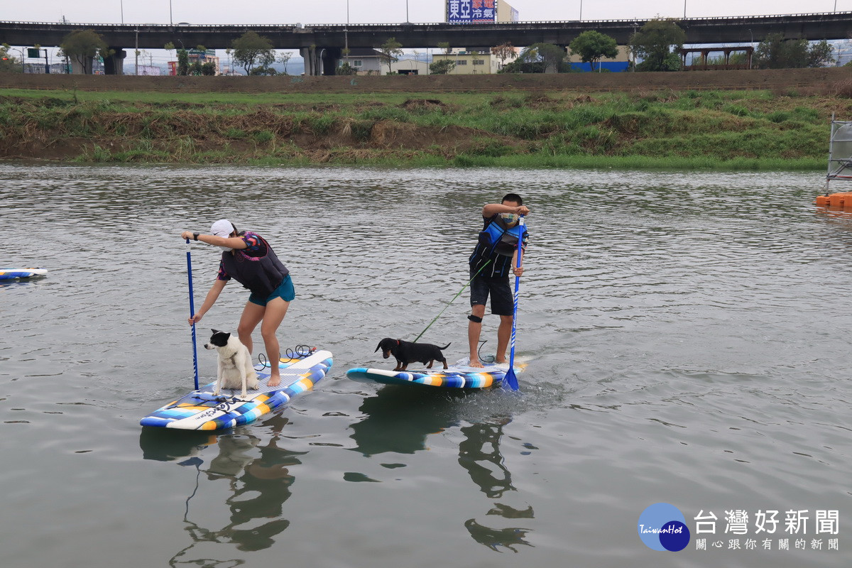 立式划槳在貓羅溪水域　燈會期間免費體驗 台灣好新聞 第3張