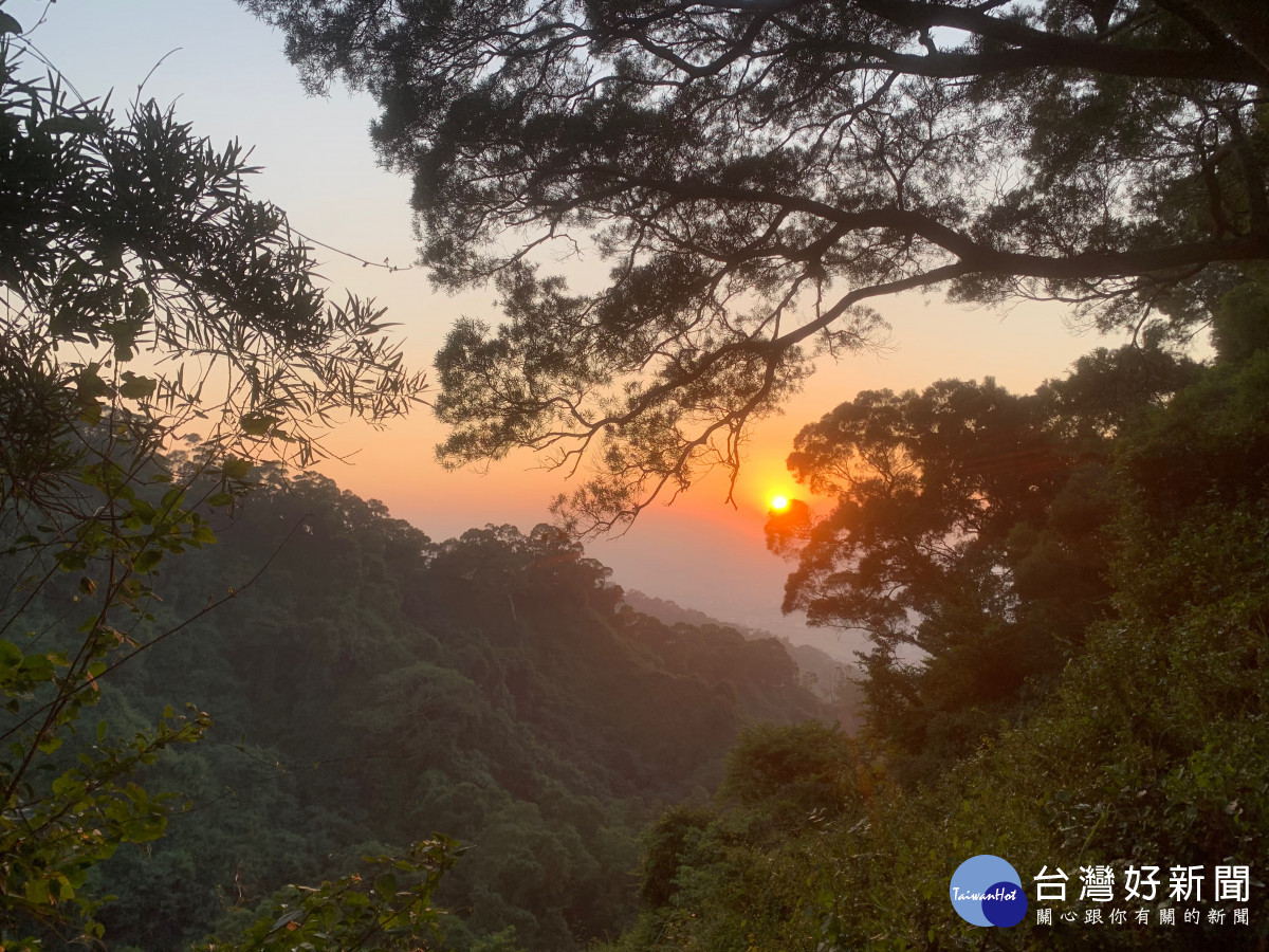 八卦山風景區「田中森林」夕陽。圖／參山國家風景區提供