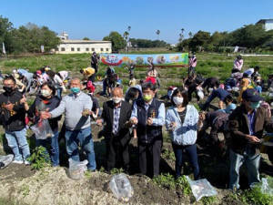 潭子區農會辦馬鈴薯產業文化活動讓市民挖馬鈴薯