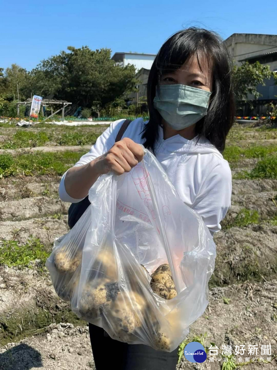 體驗農村田園生活　民眾親手挖馬鈴薯 台灣好新聞 第2張