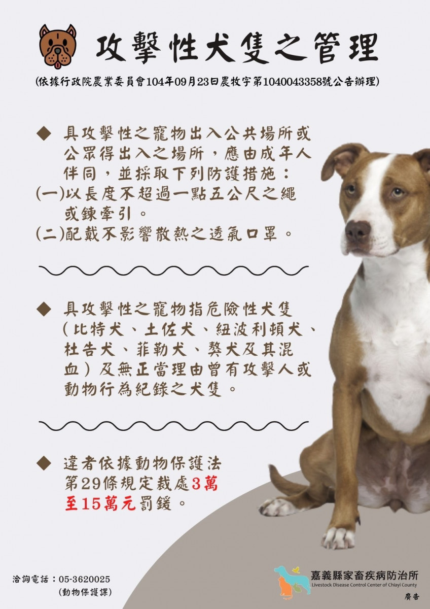 中央公告111年3月1日起禁止飼養及輸入比特犬／嘉義縣府提供