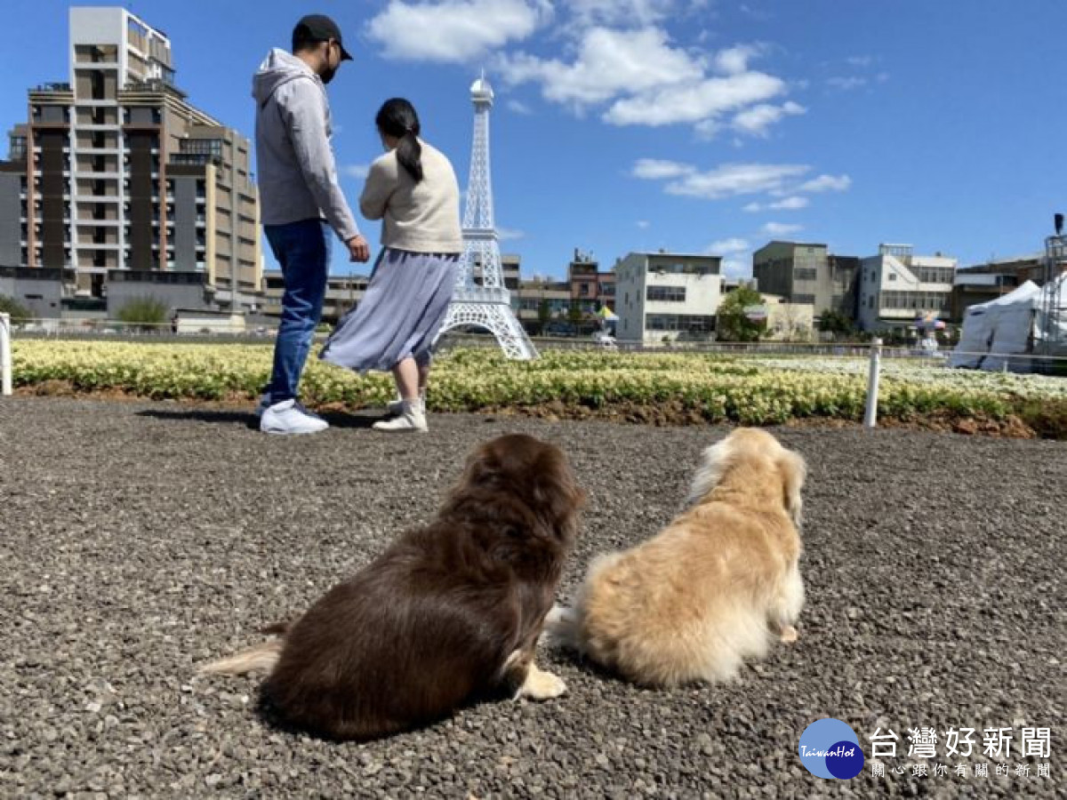 桃園綠色生活悠遊節會場，舉辦「親子寵物日活動」