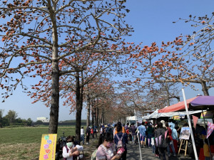 木棉花季到，台南市將軍區公所舉辦賞花拔蘿蔔活動，吸引民眾參與。（台南市政府提供）