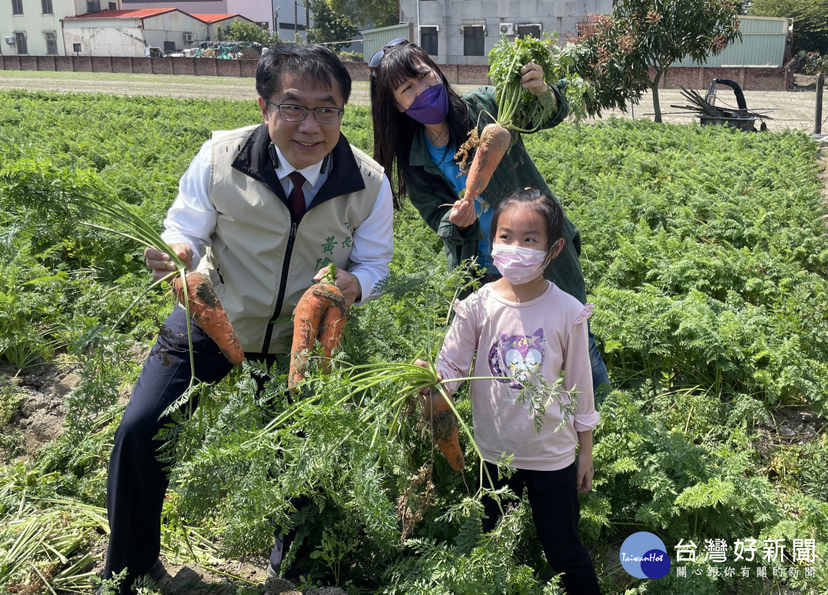 木棉花季到，台南市將軍區公所舉辦賞花拔蘿蔔活動，市長黃偉哲也到場與民同樂。（台南市政府提供）