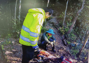 山友4人登北插天山受困，警、消合力救援